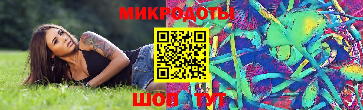 Железногорск  Галлюциногенные грибы Psilocybine cubensis  Вход с VPN 