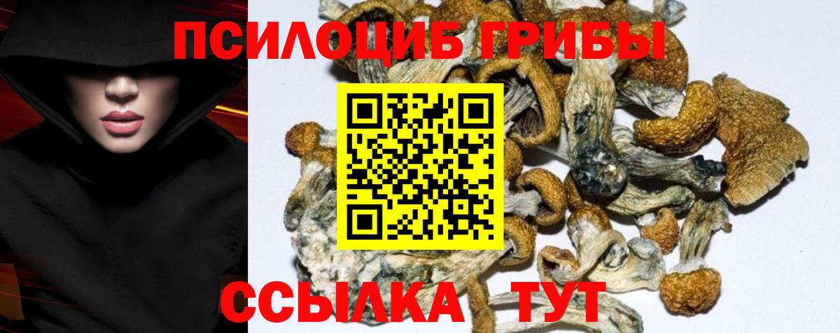 Псилоцибиновые грибы MAGIC MUSHROOMS Железногорск